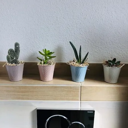 Airport Apartment *