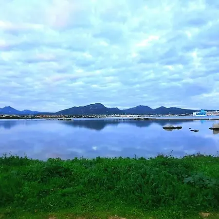 Airport Apartment Olbia